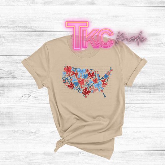 USA outline