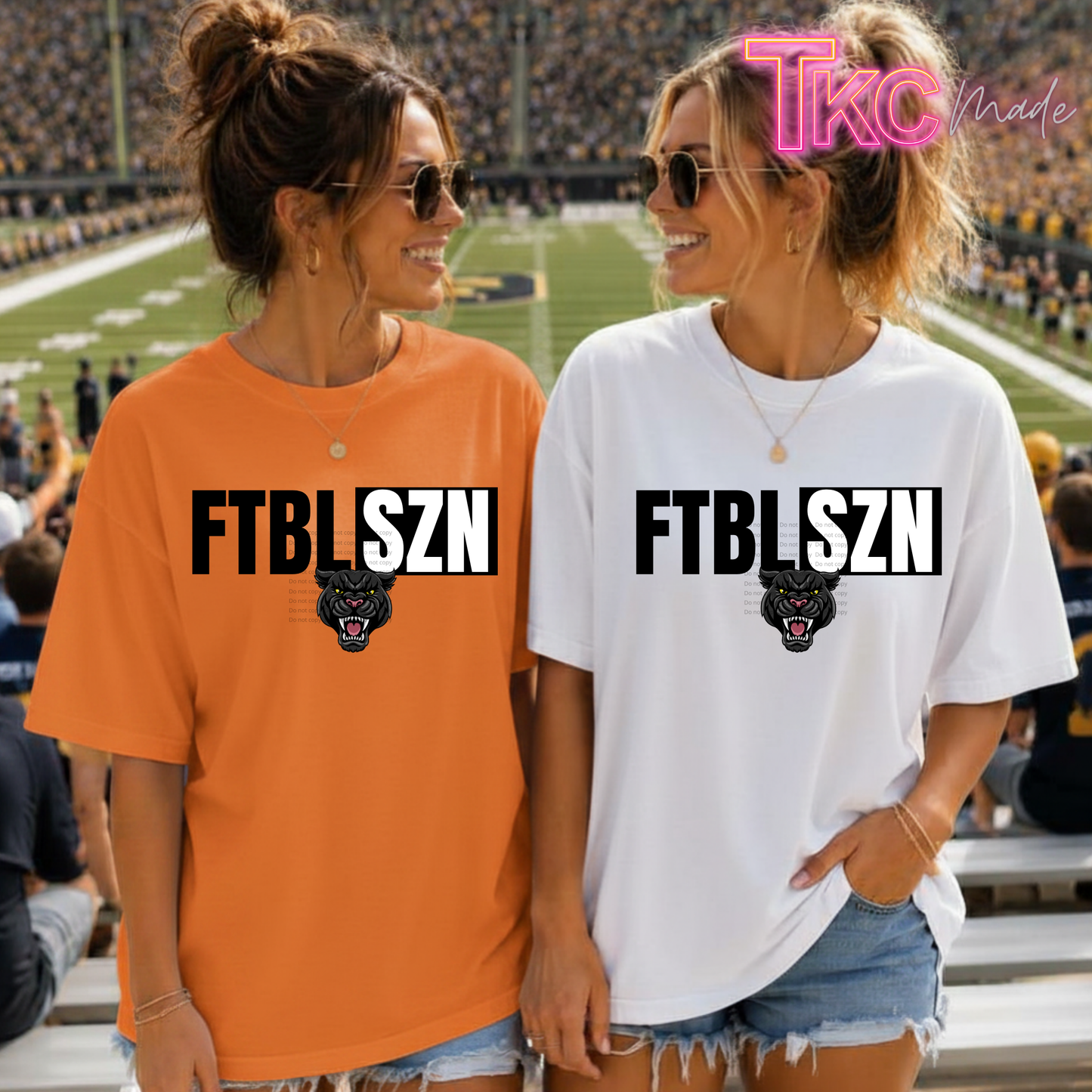 Panthers Football Season